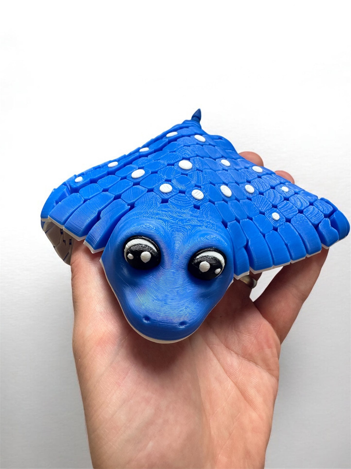 Flexi Stingray