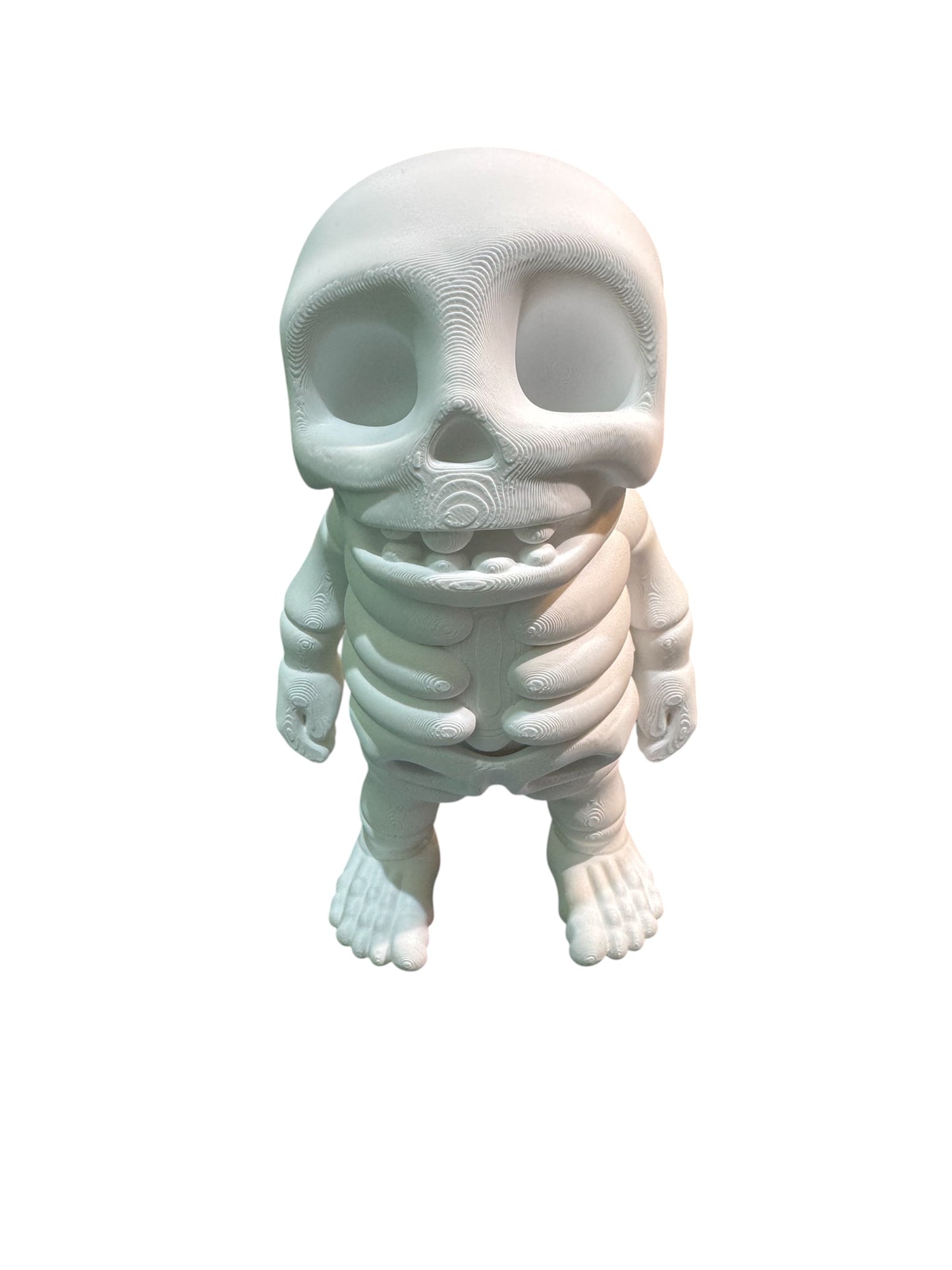 XL Skeleton