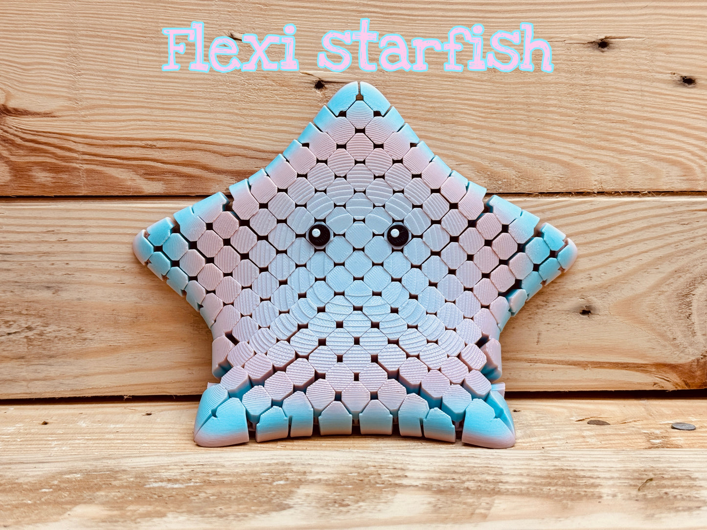 Fidget Starfish