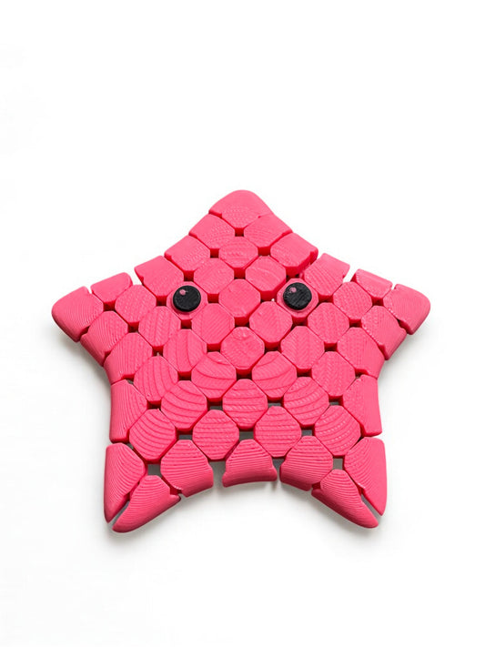 Mini Fidget Starfish
